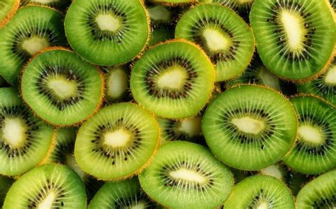 8 Facts About Kiwi Fruit Fruitrunner