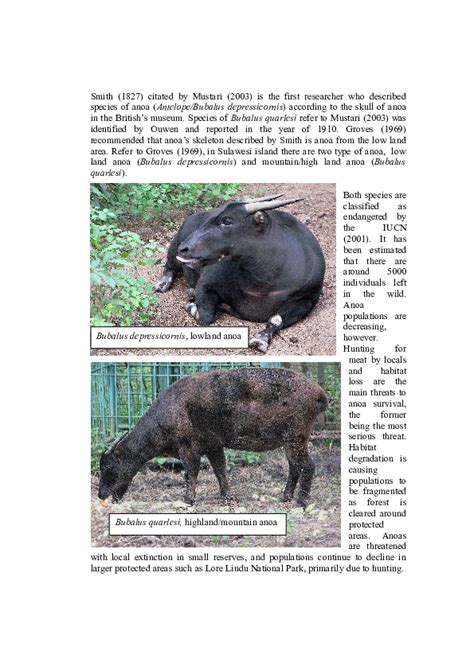 (DOC) Anoa (Bubalus sp.) Endemic endangered animal | Retno Iswarin ...