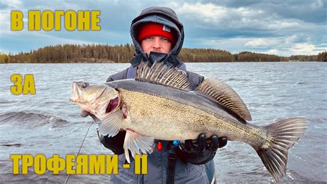 В погоне за трофеями. 3 х дневный тур. Часть 2-я. Рыбалка в Финляндии ...