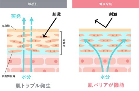 【肌のトラブル】肌の赤みを抑えるには？赤みの原因とスキンケアについて Taisho Beauty Online