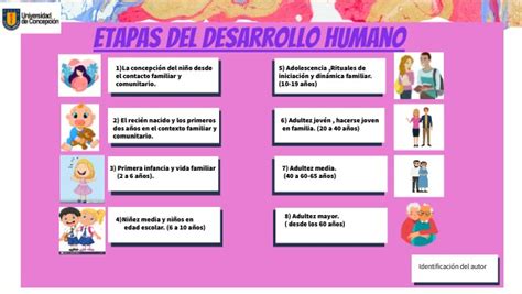 Etapas Del Desarrollo Humano