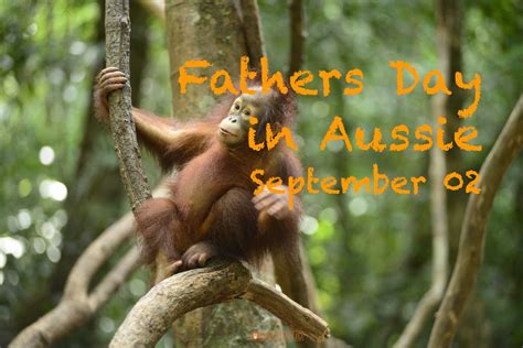 FATHERS DAY 2018 IN AUSTRALIA COP Centre For Orangutan Protection