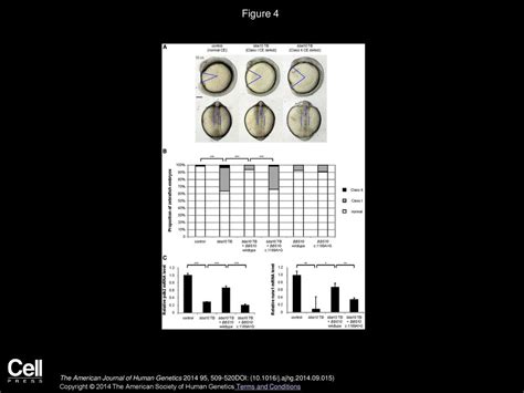 A Novel Test For Recessive Contributions To Complex Diseases Implicates