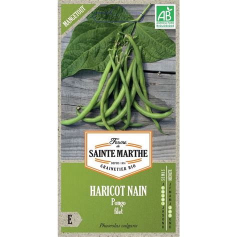 Semences Haricot Nain Pongo Filet Mangetout Bio Graines Gr