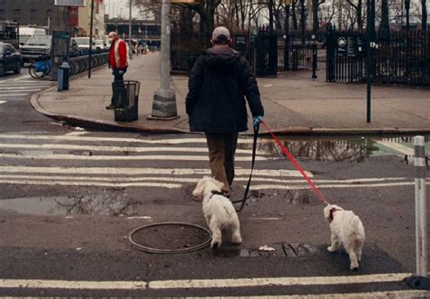 Qu Pas Con Rudy Far As Adolescente Sale A Pasear A Sus Perros Y