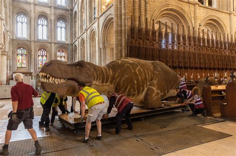 Natural History Museum London Dinosaurs