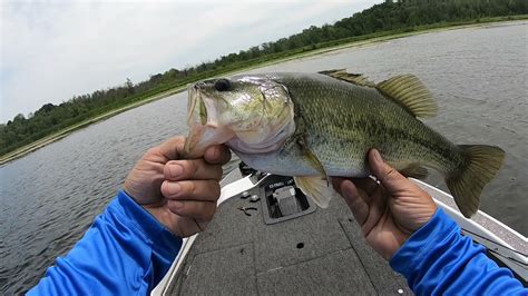 Bass Fishing Long Lake Fond Du Lac County Wisconsin Youtube