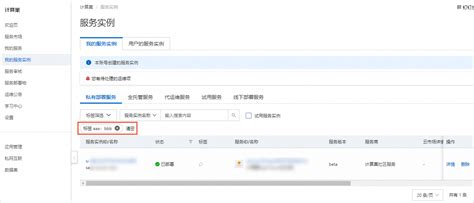 管理标签计算巢服务compute Nest 阿里云帮助中心