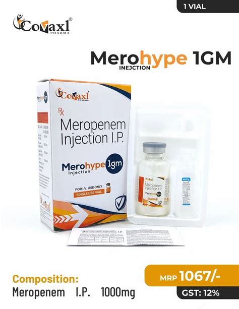 Meropenem I P 1000mg 20 Ml Strength 1 Gm At Rs 1067 Vial In