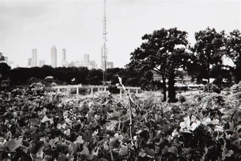 The Early Years Freedom Park And Parkway