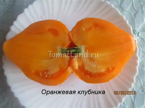 Томат Оранжевая клубника: описание сорта, ОТЗЫВЫ (22), фото