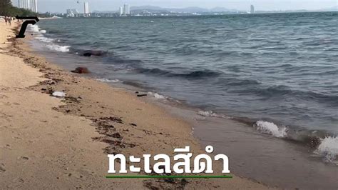 [thairath Online ไทยรัฐออนไลน์] แชร์ว่อน น้ำทะเลหาดนาจอมเทียน เปลี่ยนเป็น สีดำ ส่งกลิ่นเหม็น