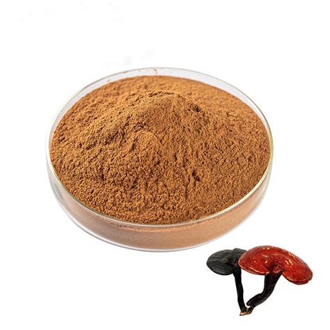 Bulk Reishi Powder Ganoderma Lucidum Extract Reishi Mushroom Extract