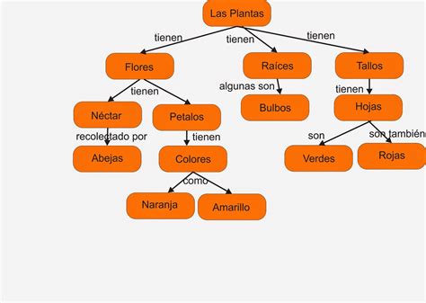 Mapa Conceptual De Las Plantas