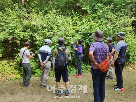 북부지방산림청 산림교육서비스 수혜인원 41만명 달성일자리 156명 창출 네이트 뉴스