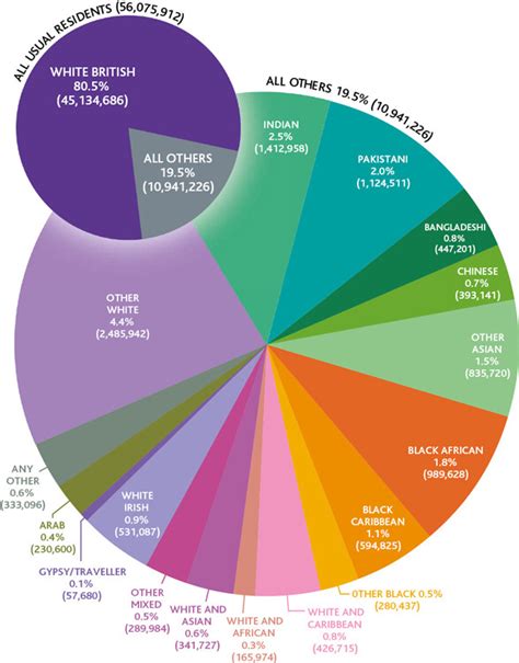 The Demography Of Ethnic Minorities In Britain In Ethnicity Race