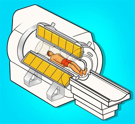 What The Difference Between An X Ray Mri And Ct Scan Is Artofit