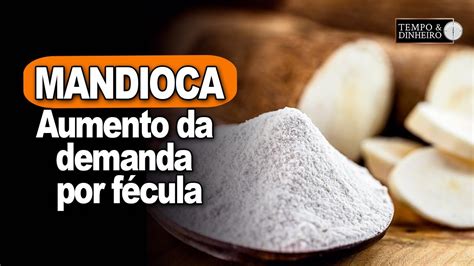 Mandioca Tem Baixa Oferta De Raiz E Aumento Da Demanda Por F Cula