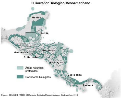 Corredores Biol Gicos Gea Sostenible S C