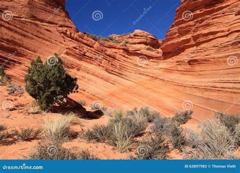 Usa Arizona Coyote Buttes South Sculpted Sandstone Layers Stock