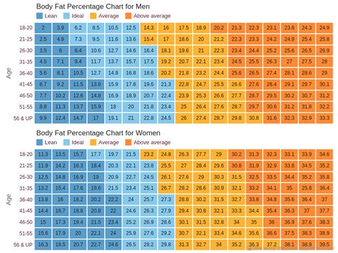 Body Fat Charts With Light Glamour Theme Heat Map Charts