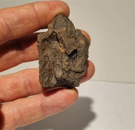 Al Haggounia Meteorite Enstatite Chondrite Very Catawiki