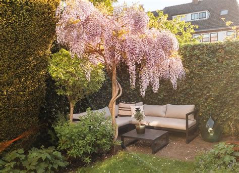 Zo Krijg Je Meer Privacy In De Tuin HomeDeco Nl