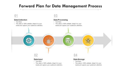 Top Data Management Plan Templates With Samples And Examples