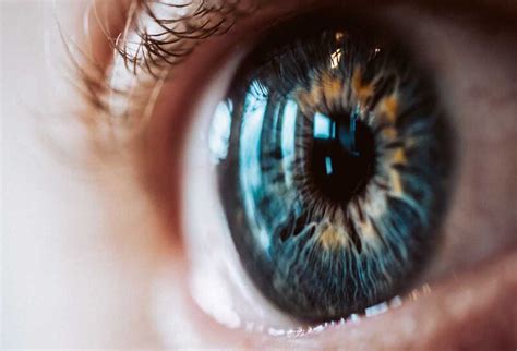 pivitol role  antioxidants  eye health  federation