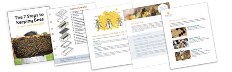 How To Start Beekeeping A Step By Step Guide