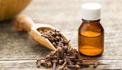 alasan dibalik tingginya potensi usaha cengkeh blog igrow berita