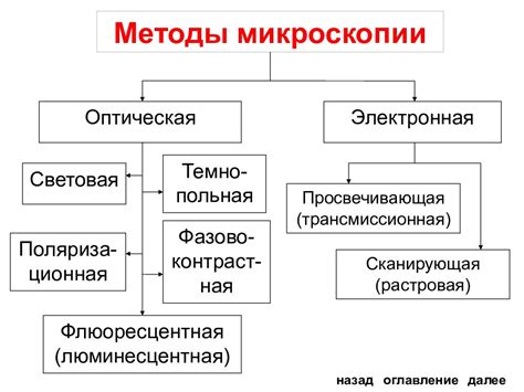 Методы микроскопии — презентация