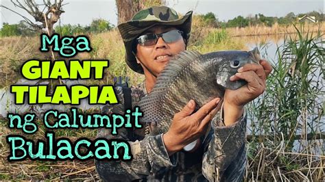 Mga Giant Tilapia Ng Calumpit Bulacan Nakahuli Kami Part Airgun