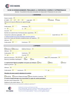 Remplissable En Ligne Indre Cci La Fiche De Renseignements Format Pdf