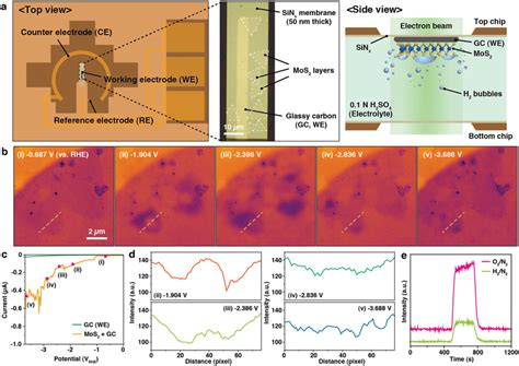 In Situ Electrochemical Liquidphase Transmission Electron Microscopy