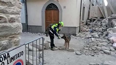 Addio A Oxy Cane Eroe Anche Ad Amatrice Per Anni Ha Salvato Vite