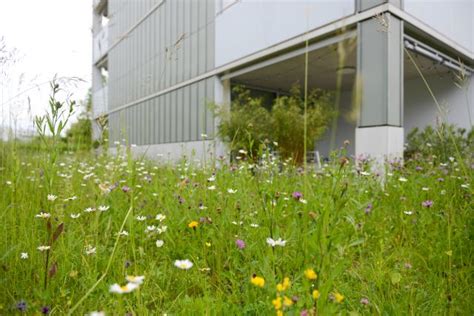 Nachhaltig Bauen Heisst Neuste Technik Im Einklang Mit Der Natur