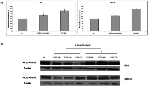 Fenretinide Induces Ros In Alveolar Rhabdomyosarcoma Cell Lines A Rh