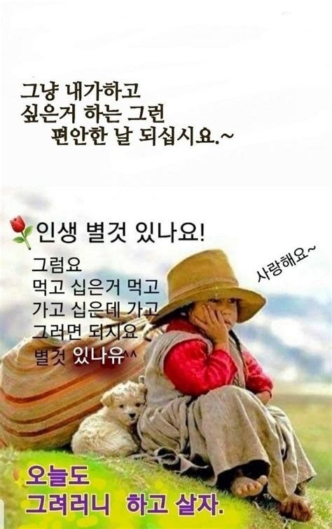 갤러리에 있는 이진 박님의 핀 좋은 아침 인사 아침 인사 꽃 미학