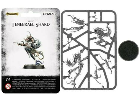 Tenebrael Shard Khainite Assassin Sorceress Dark Elves Elf Warhammer Old World Ebay