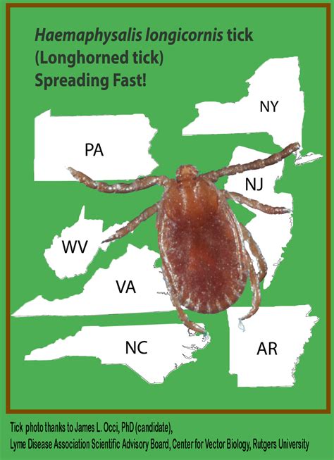 2018 Annual Scientific Conference Lyme And Tick Borne Diseases Turning The Corner Through