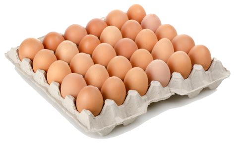 PNG شانه تخم مرغ Egg Carton PNG دانلود رایگان