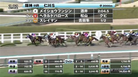 【225 仁川sほか】阪神ダイジェストjraレース結果 競馬予想動画