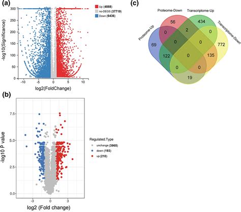 Overview Of Chrysanthemum Differentially Expressed Genes Degs And