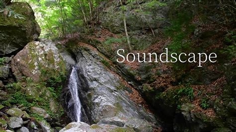 SoundscapeNature Sounds Waterfall Sounds Relaxing Nature Sounds 滝の音