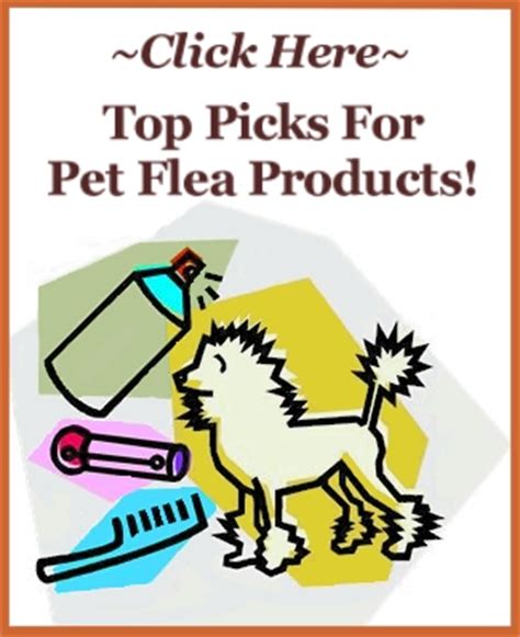 Vinegar Kills Fleas - How To Use This Natural Flea Killer