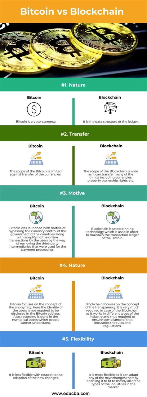 Bitcoin Vs Blockchain Top Differences To Learn With Infographics