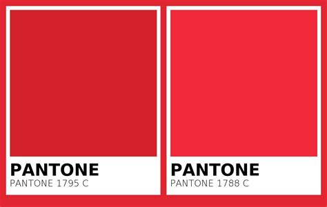 Color Pantone 1795 C Vs Pantone 1788 C Side By Side