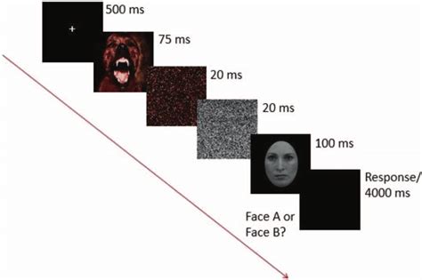 A Sequence Of Events Of A Trial In Experiment 1 In Experiment 1a