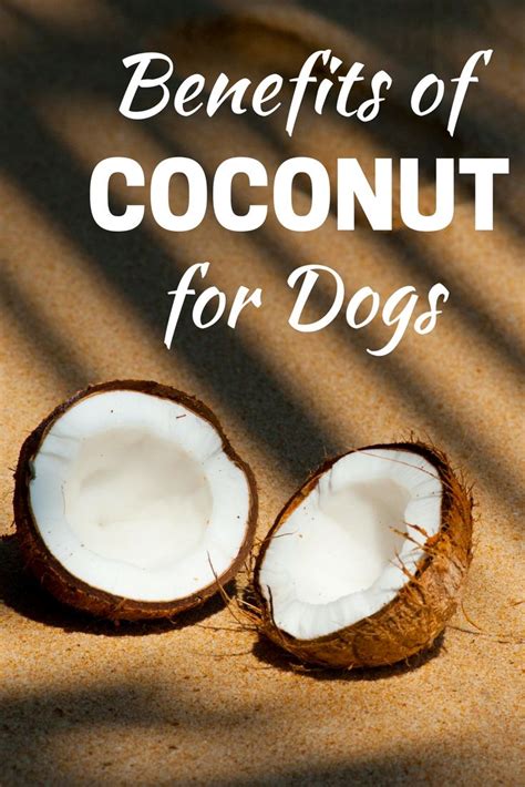 Benefits Of Coconut For Dogs Coconut Coconut Oil For Dogs Granola